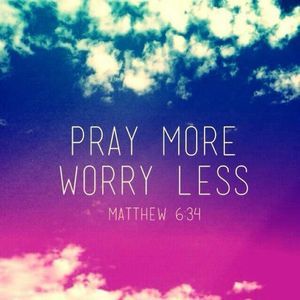 Meet your Posher, Bailey