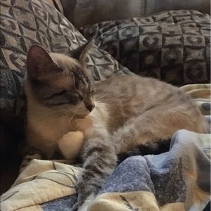 Meet your Posher, Renee