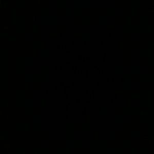 Meet your Posher, Javon