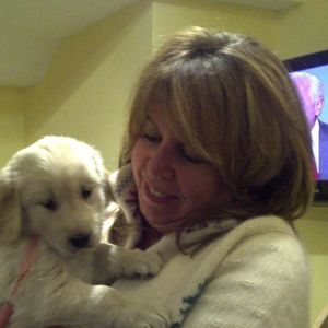 Meet your Posher, Sophie