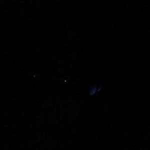 Meet your Posher, Gertrude