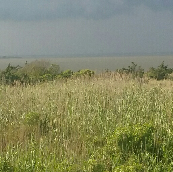 Meet your Posher, Cheryl - Picture 1 of 1