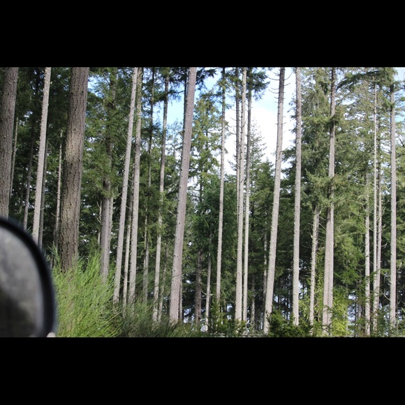 Meet your Posher, Lux - Picture 3 of 7