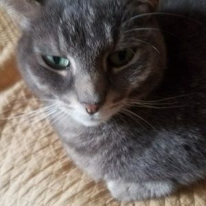 Meet your Posher, Aida