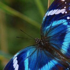 Meet your Posher, Bethany