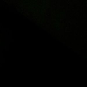 Meet your Posher, Mona