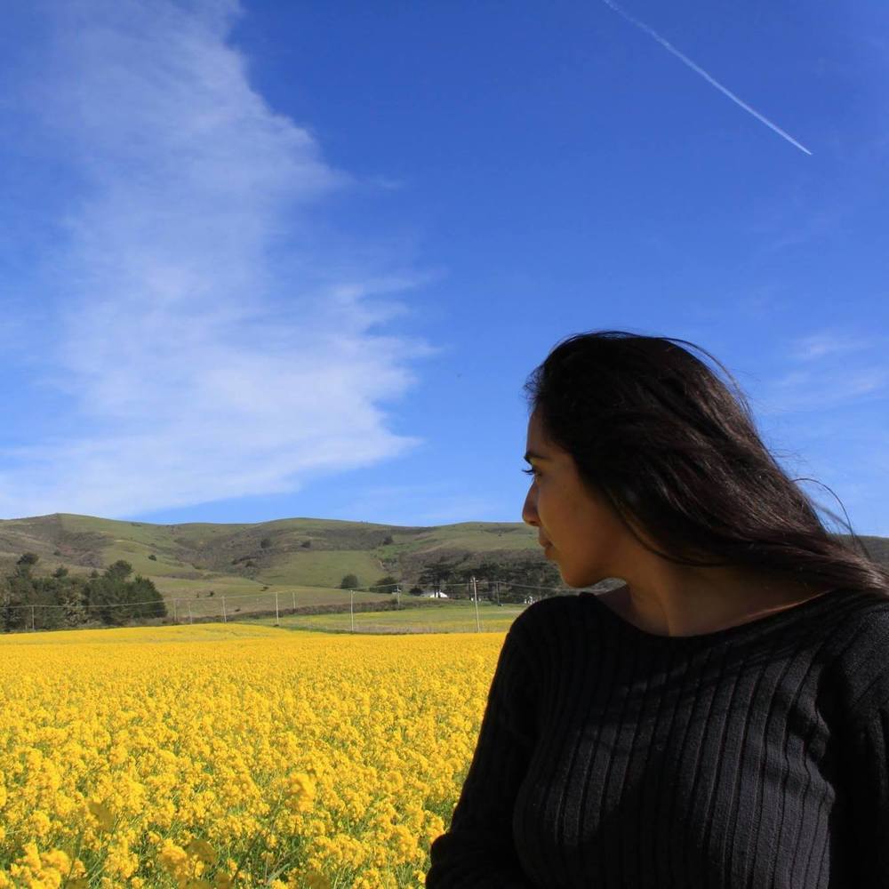 Meet your Posher, Precylla