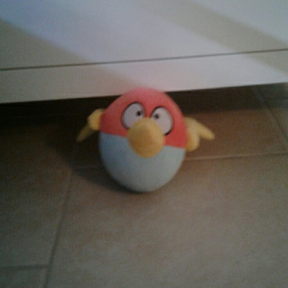 Angry birds