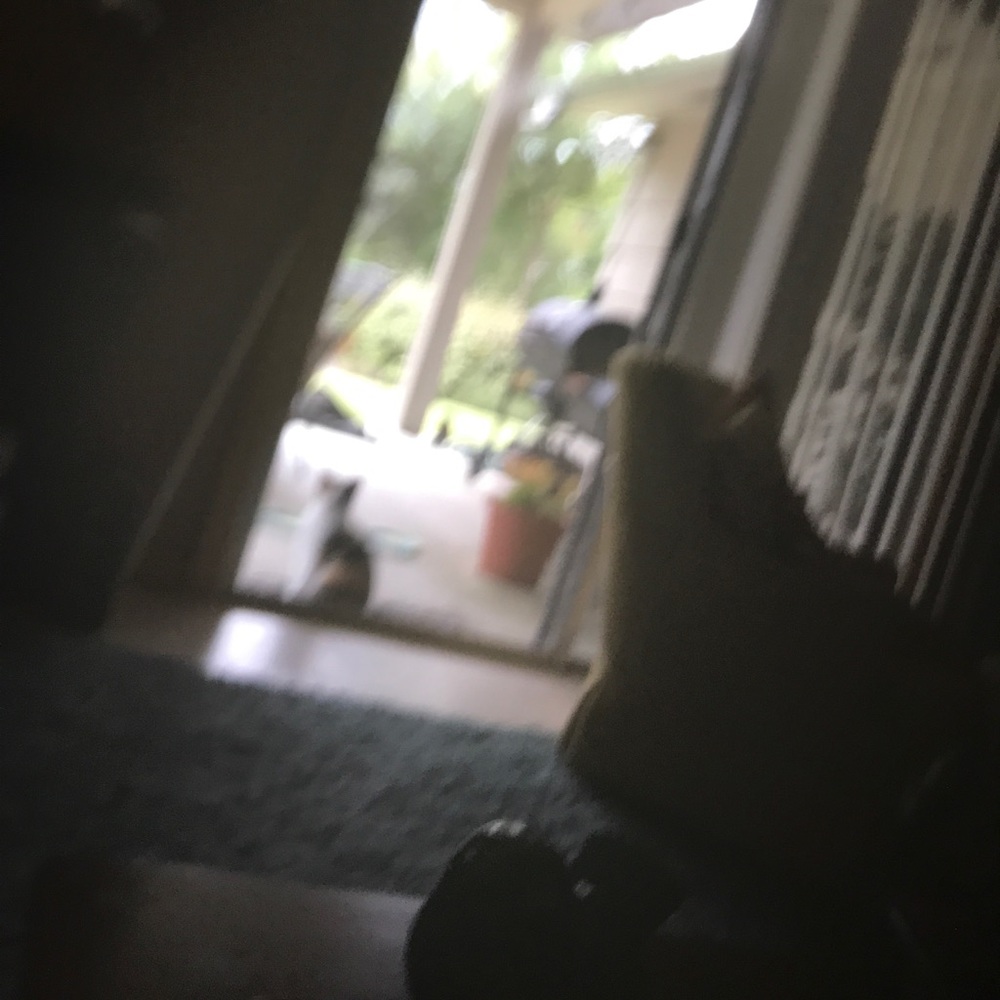 Meet your Posher, Violet