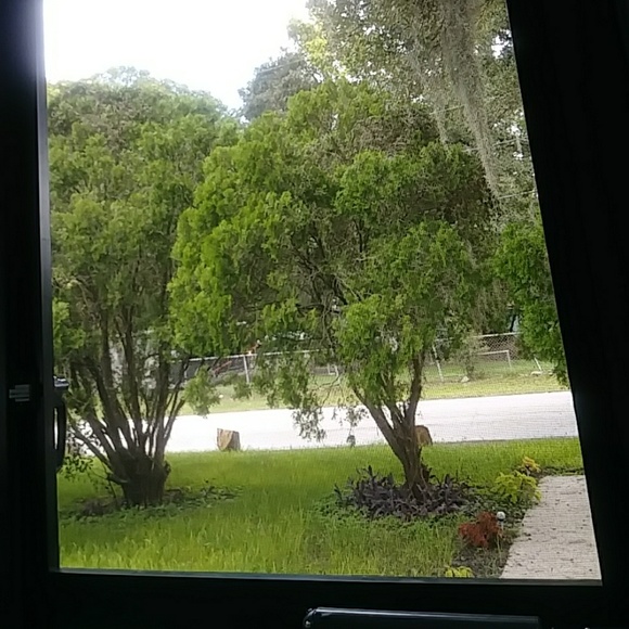 Meet your Posher, Terry - Picture 1 of 1