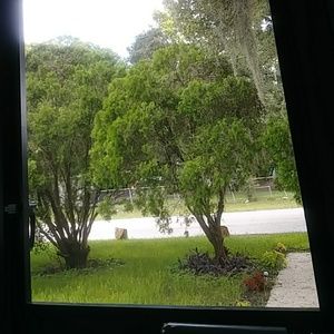 Meet your Posher, Terry