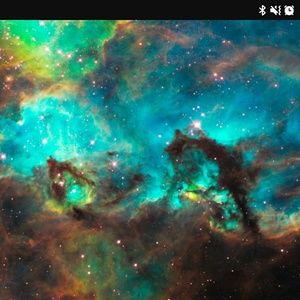 Meet your Posher, Lynn