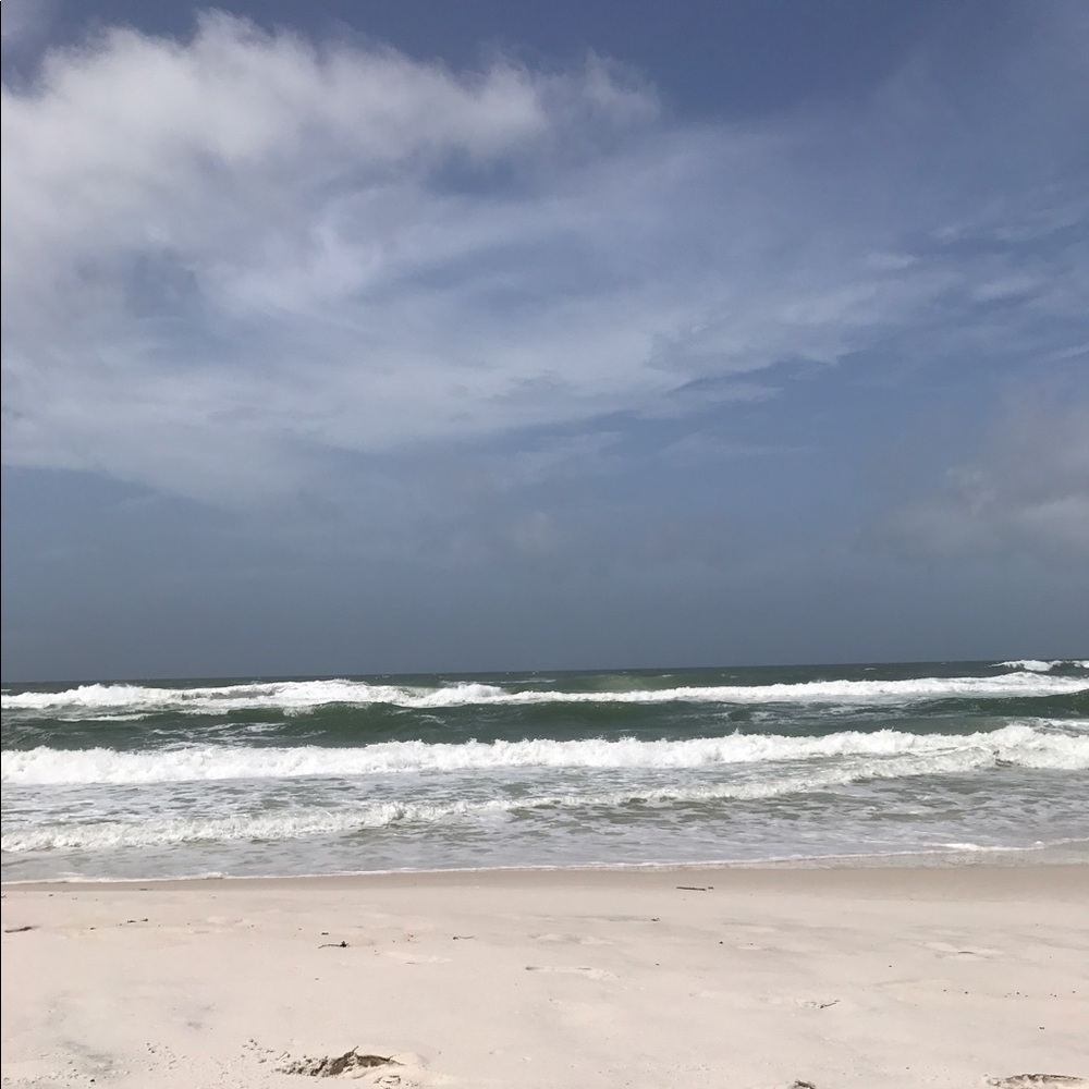 Meet your Posher, Jenny