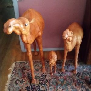 Meet your Posher, Margo