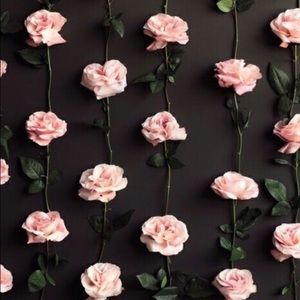 Meet your Posher, Roxie