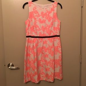 LOFT dress NWT