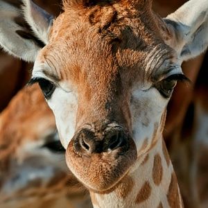 Meet your Posher, Vicky