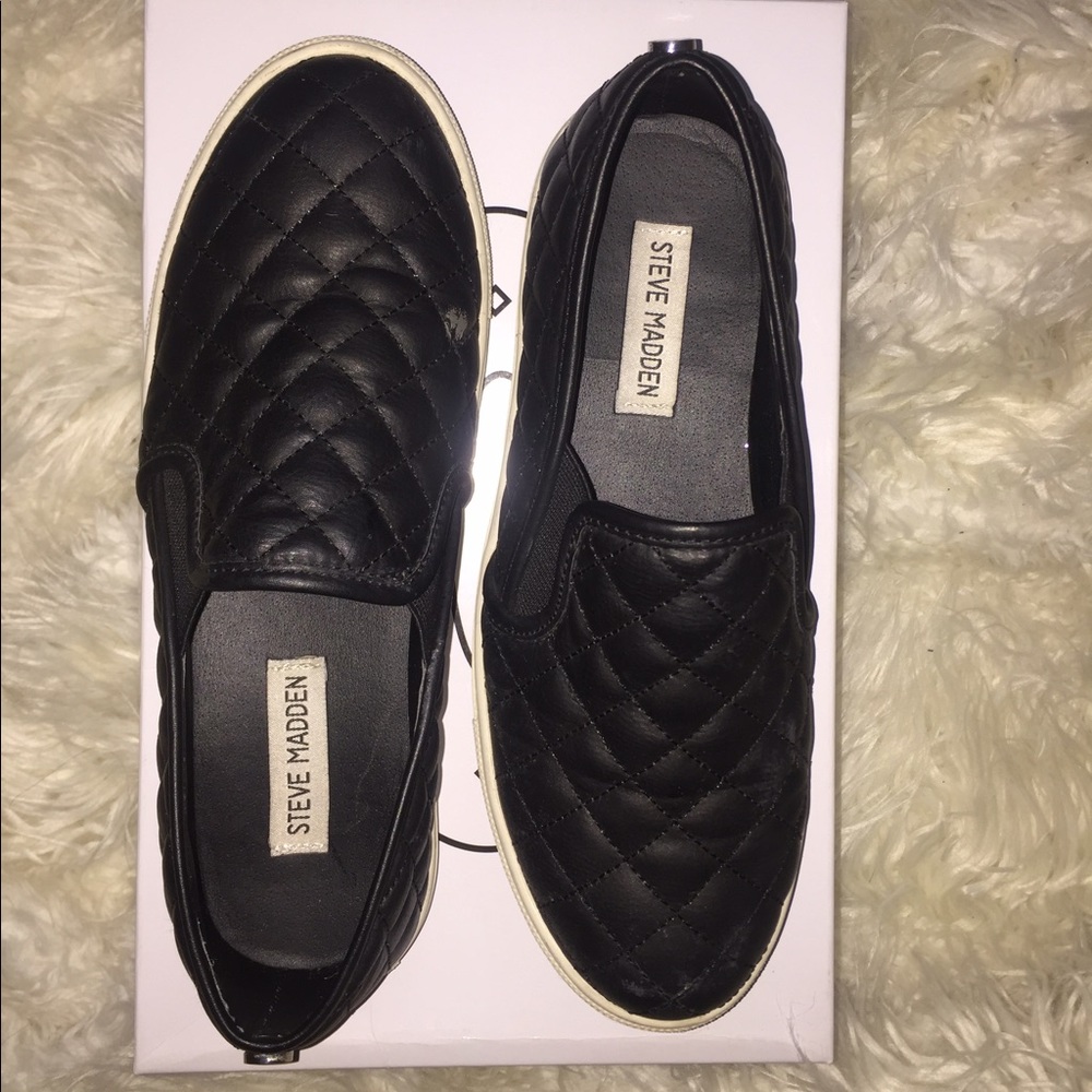 Steve Madden Ecentrcq Sneakers