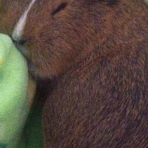 Meet your Posher, Cindy