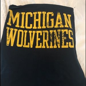 University of Michigan Tube Top