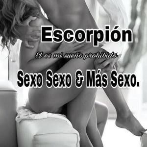 Meet your Posher, Ariel