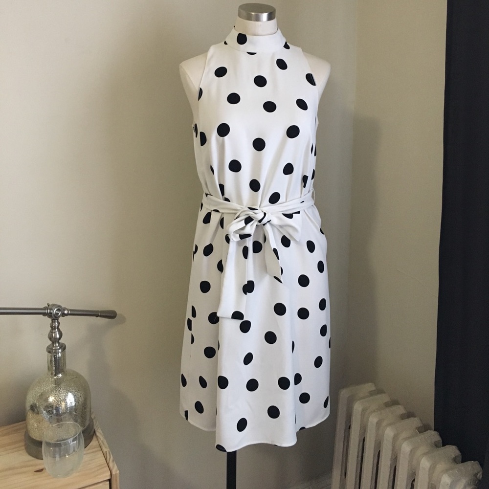 Ann Taylor polkadot Dress