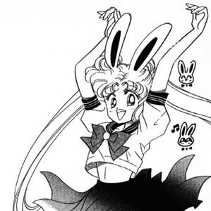 Meet your Posher, Daisy