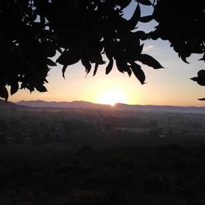 Meet your Posher, Mimi