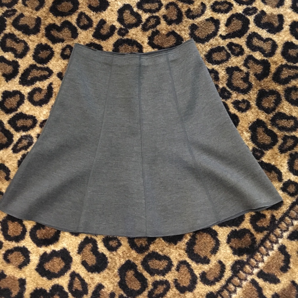 Ann Taylor Skirt