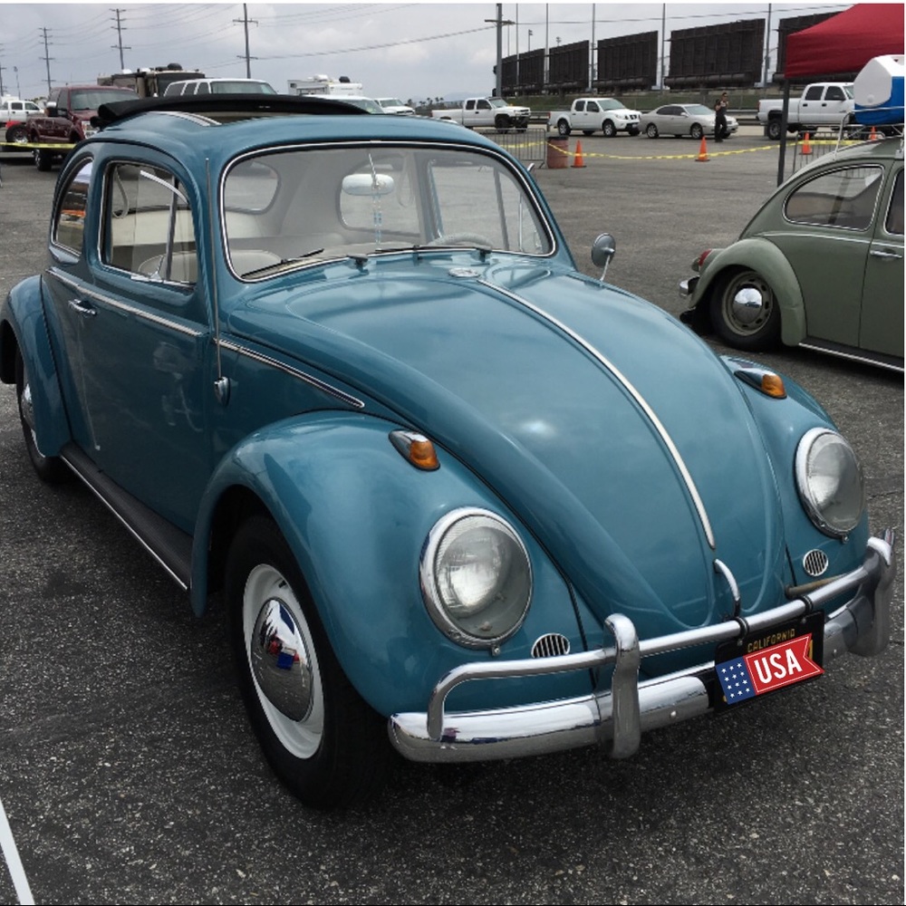 🌺🌼 Introducing......@luvbug63 - Picture 2 of 4