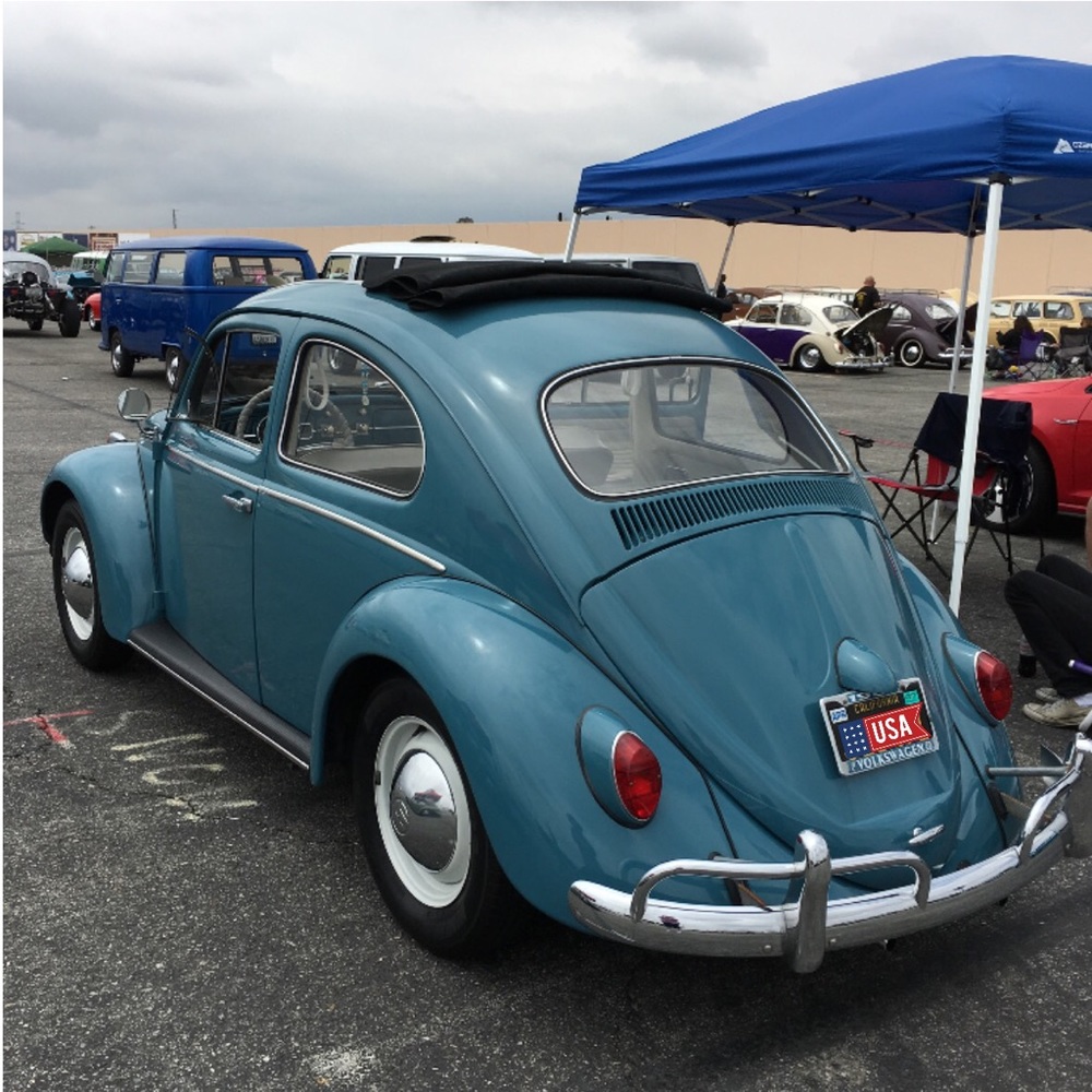 🌺🌼 Introducing......@luvbug63 - Picture 3 of 4