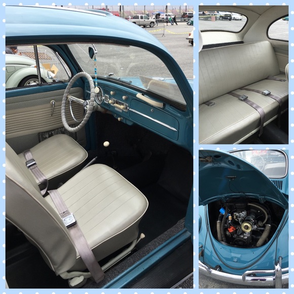 🌺🌼 Introducing......@luvbug63 - Picture 4 of 4