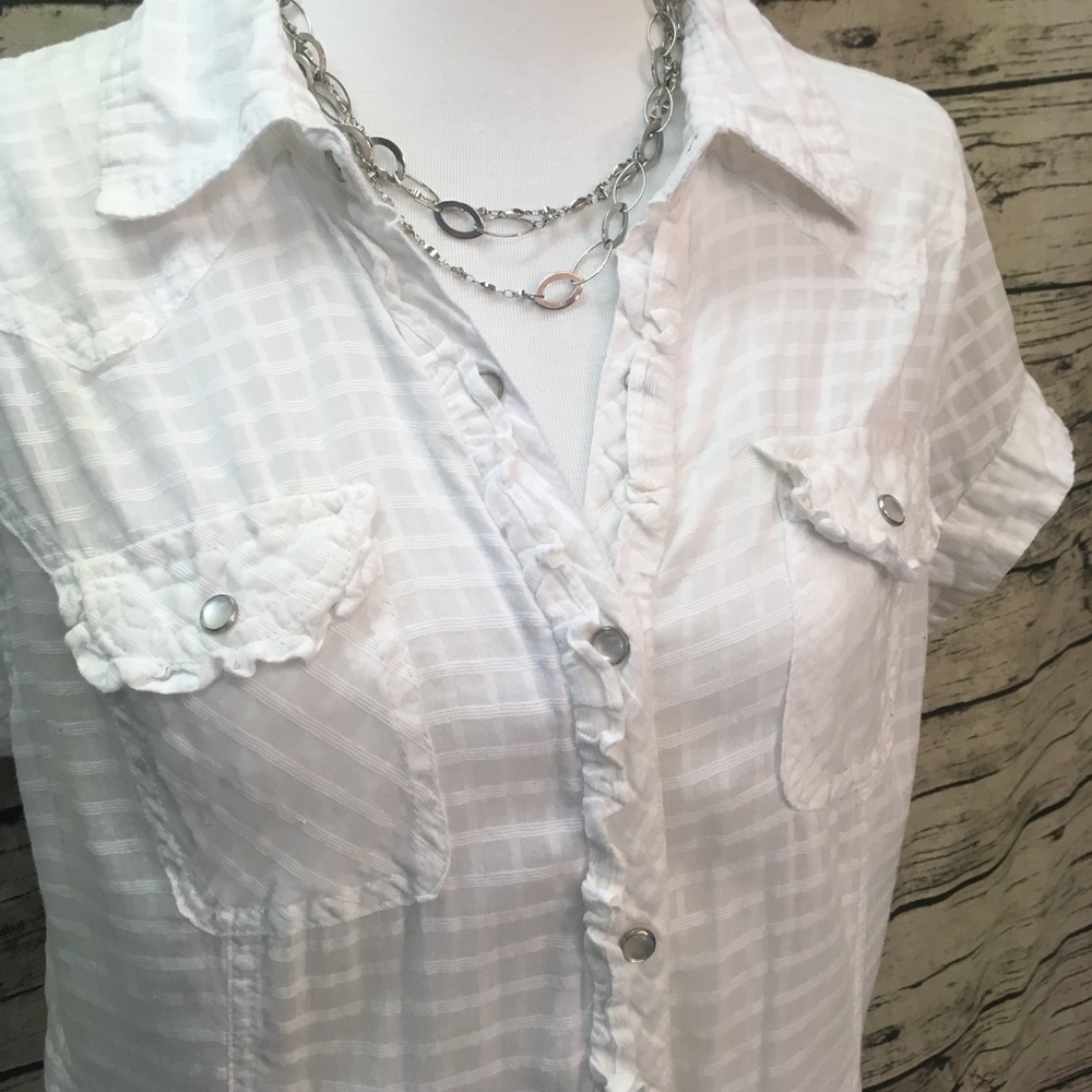 Charlotte Russe Sheer white button down top XL