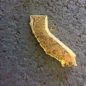Vintage California souvenir lapel pin