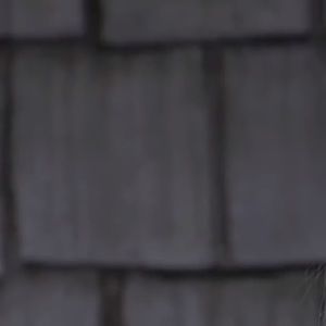 Meet your Posher, Lily