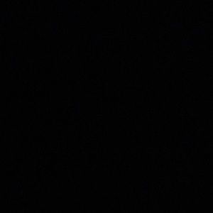 Meet your Posher, Ty