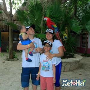 Meet your Posher, Lina