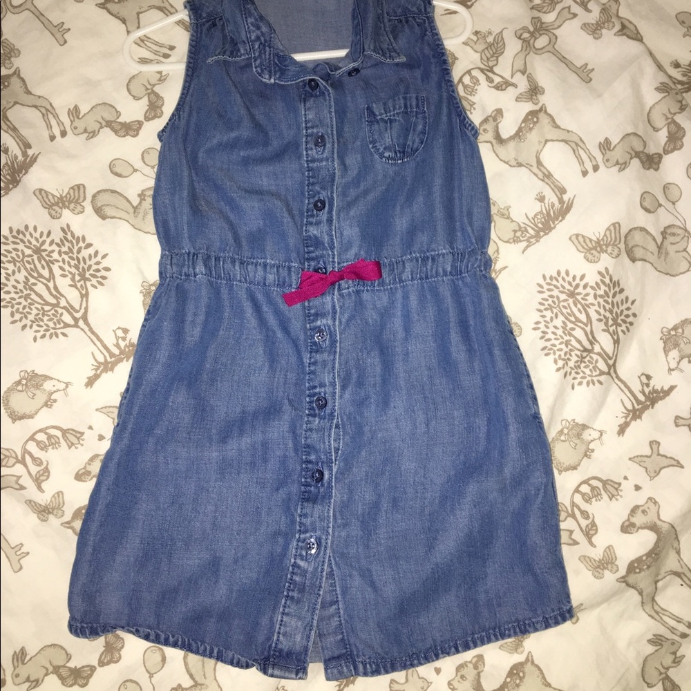 Lands End Chambray dress