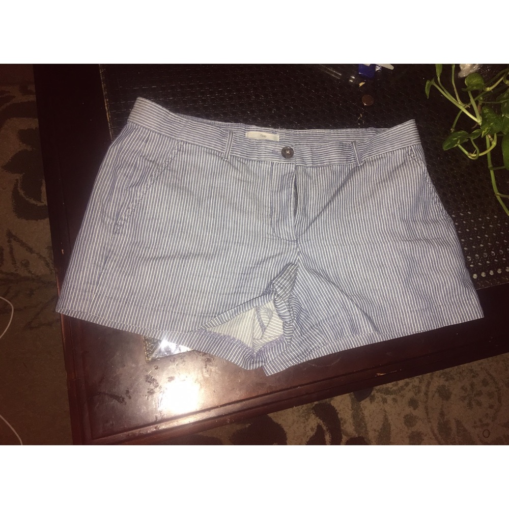 Woman's Gap Shorts