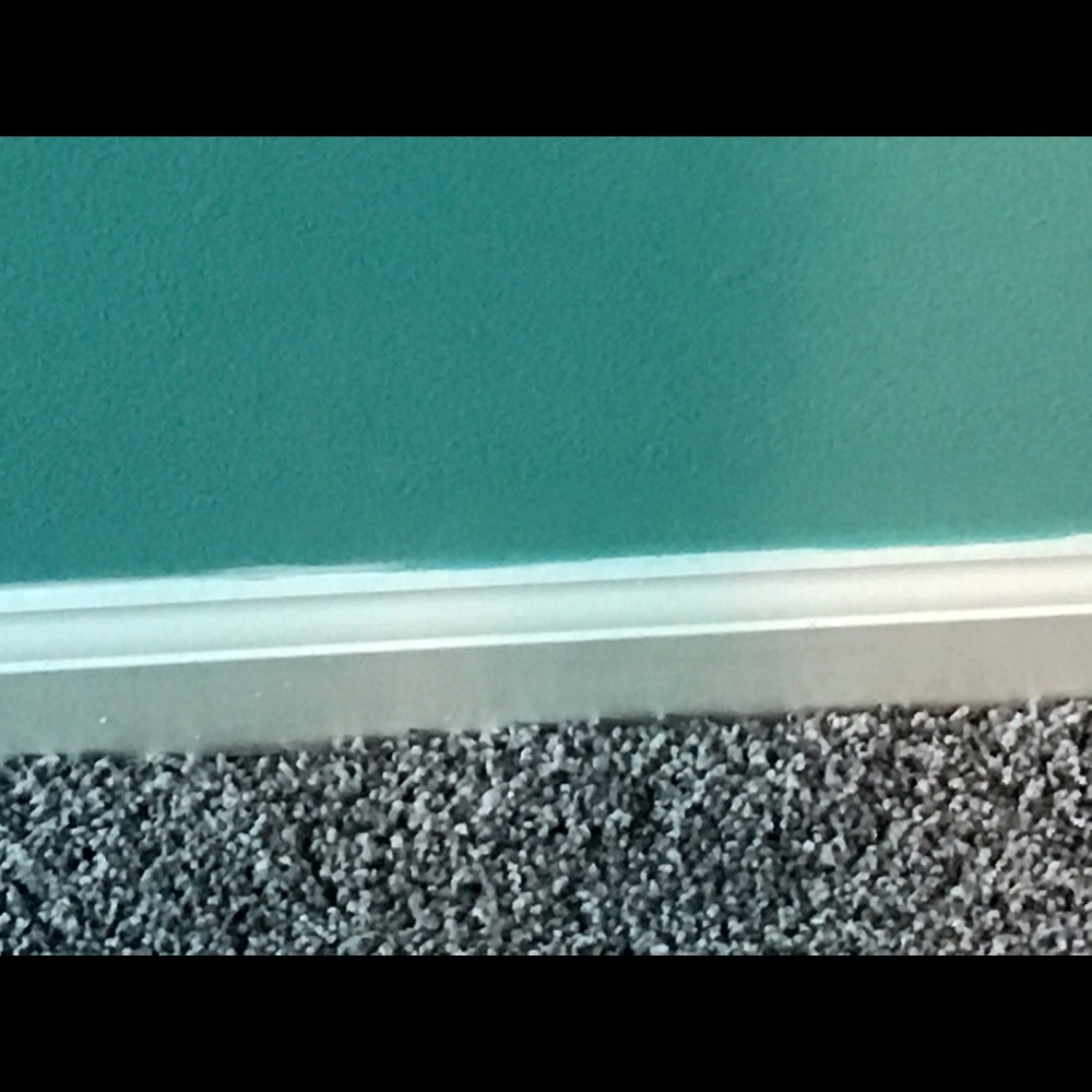 Meet your Posher, Camille