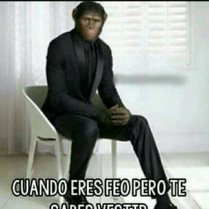 Meet your Posher, Zeus