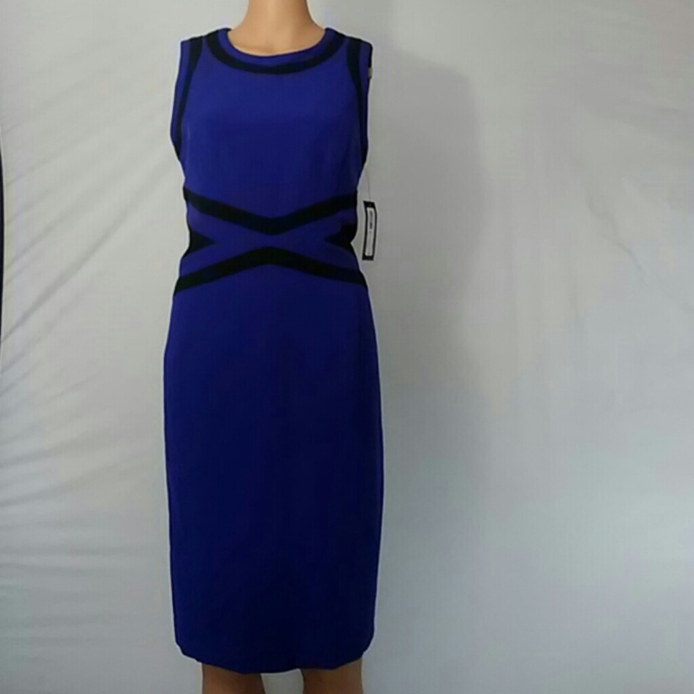 Violet/Black Women's Size 10 Sleeveless Dress