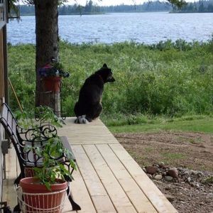 Meet your Posher, Jeanne