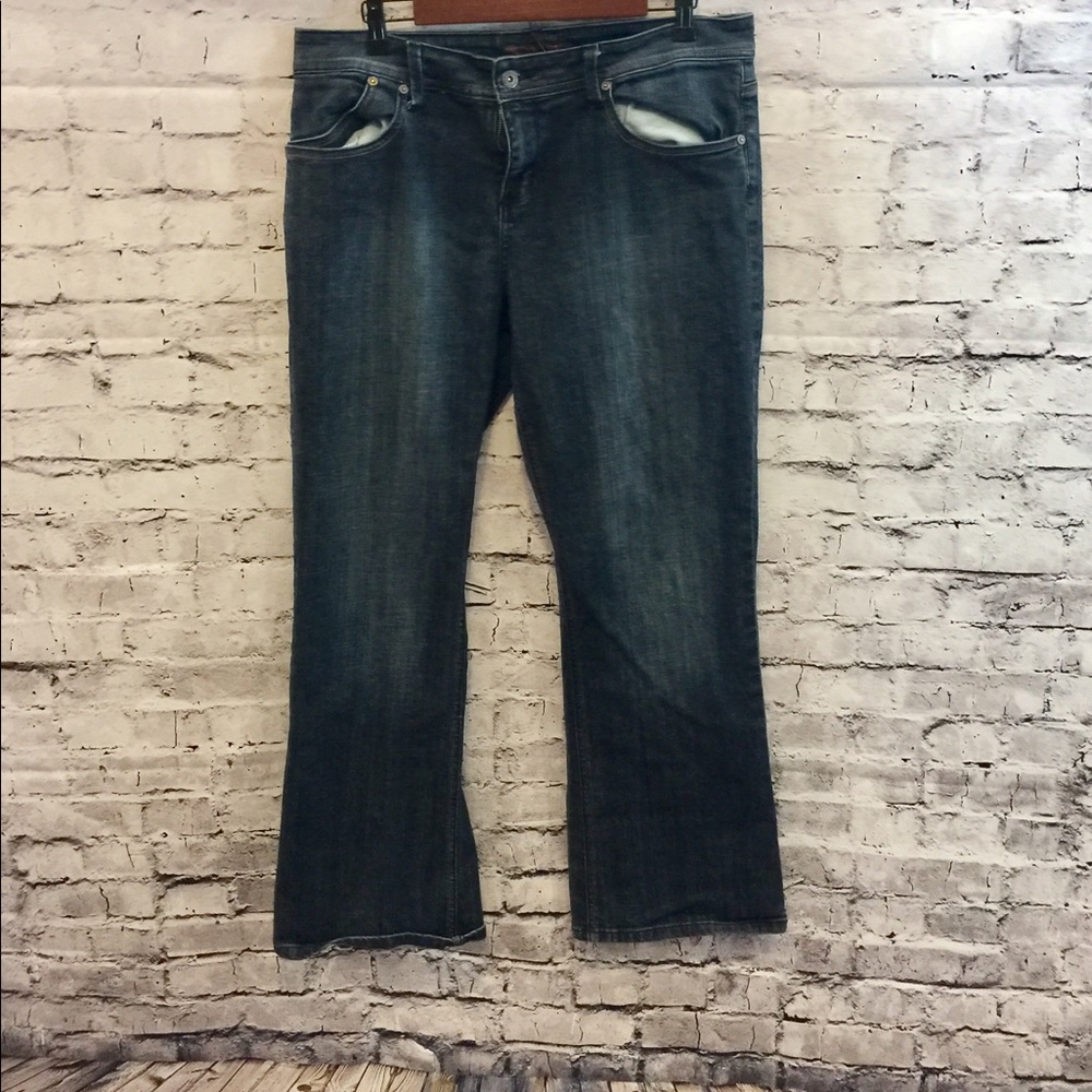 The Limited Stretch Blue Jeans