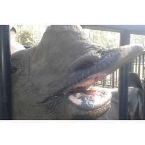 Meet your Posher, Demetria