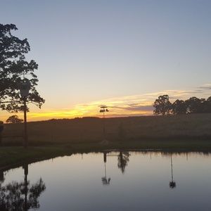 Meet your Posher, Paulette