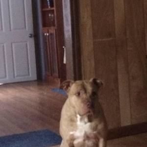 Meet your Posher, Tammyand