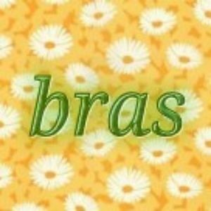 Bras