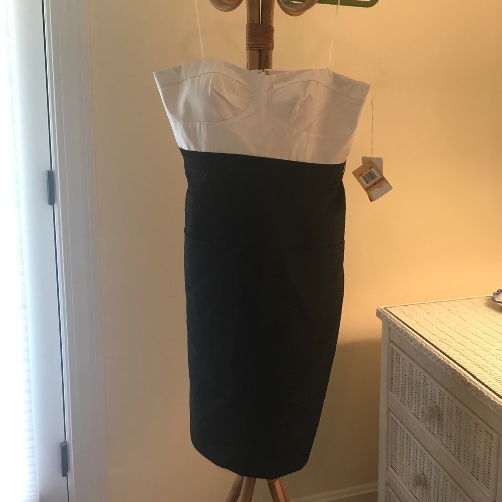 Ali Ro Black and White Structured Dress