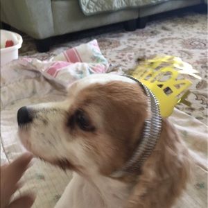 Meet your Posher, Michelle